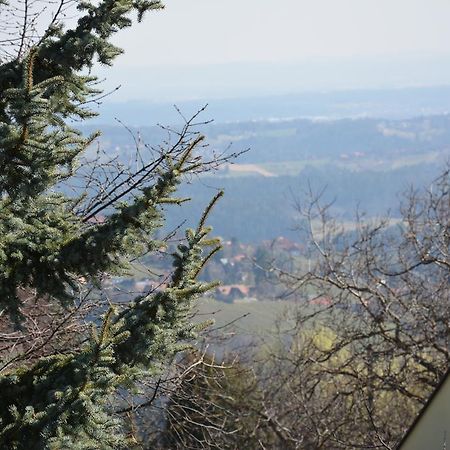 Villa Weingut Seiner Vlg. Kraxner Greisdorf Exterior foto