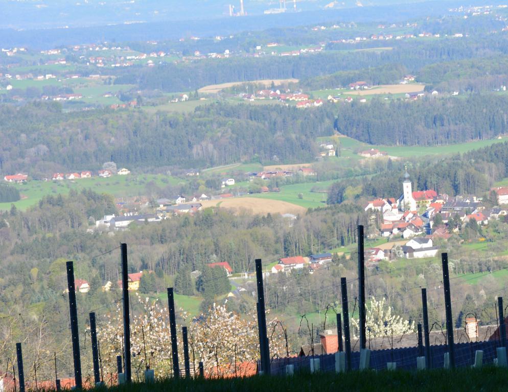 Villa Weingut Seiner Vlg. Kraxner Greisdorf Exterior foto