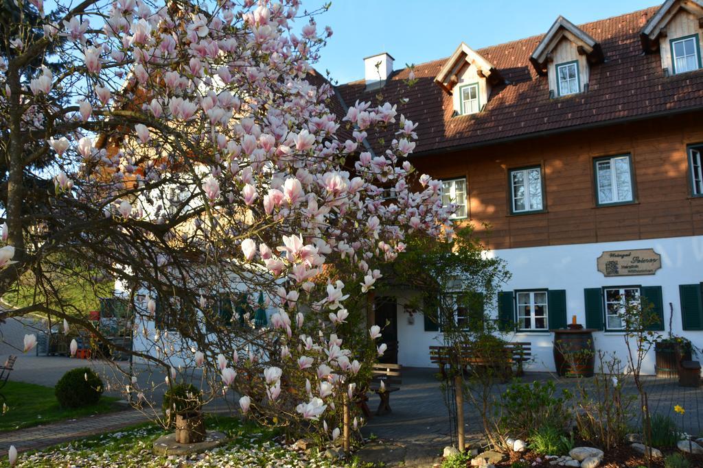 Villa Weingut Seiner Vlg. Kraxner Greisdorf Exterior foto